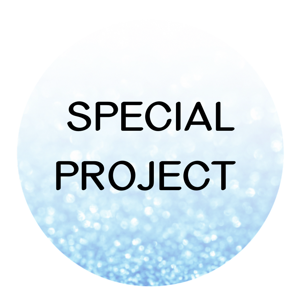 Special Project